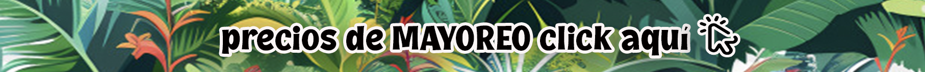 Precios de Mayoreo link