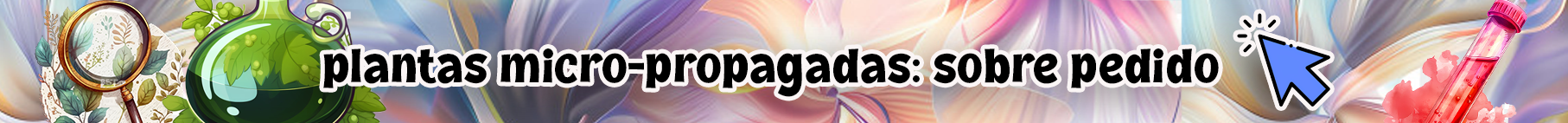 ContactoMicropropagacion